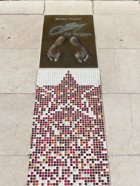 表达了她对 表达了她对