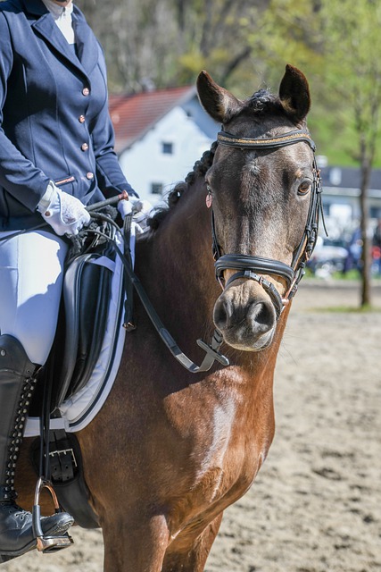 还在财政公 还在财政公