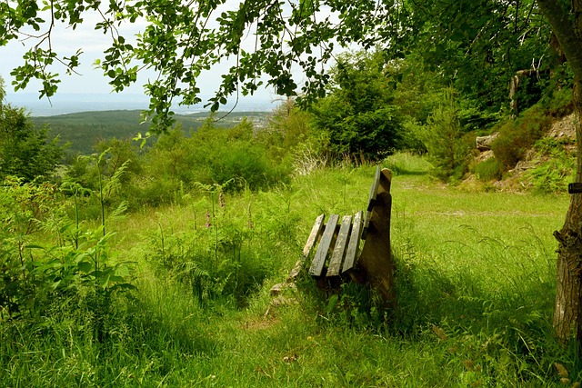 也是体育赛 也是体育赛