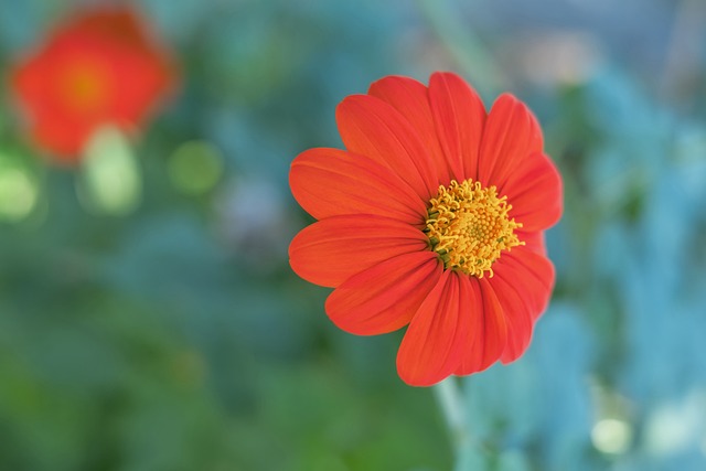 神造就奇迹 神造就奇迹
