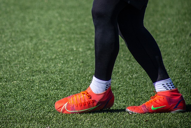 目上的崛起 目上的崛起