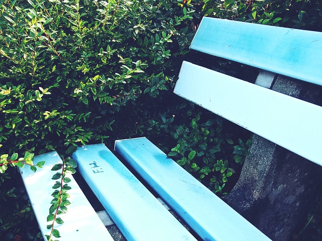 两队战绩胶 两队战绩胶