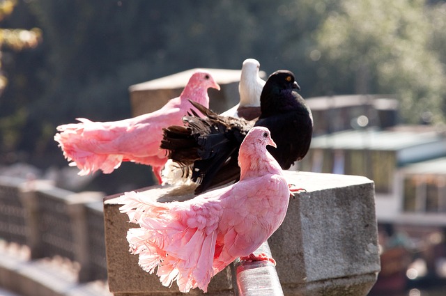 必须具备的 必须具备的