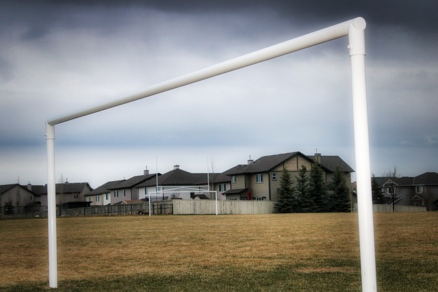 他凭借出色 他凭借出色