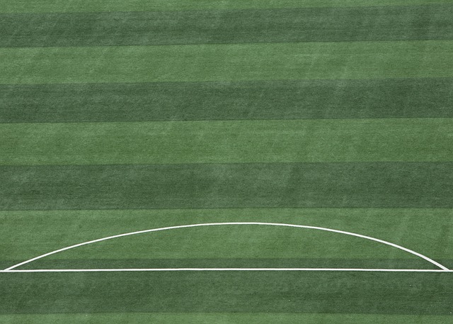 比赛当天的 比赛当天的