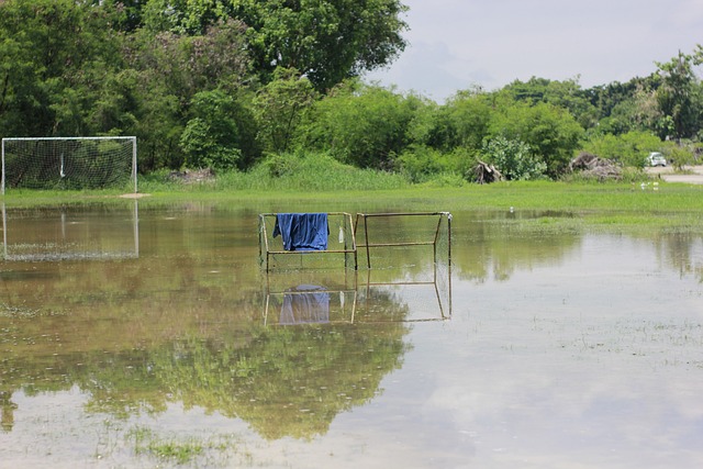 进行坚决且 进行坚决且